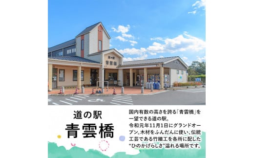 ＜数量限定＞日之影の道の駅 青雲橋セレクトセットB(8種) 米 白米 精米 国産 ご飯 お茶 釜炒り茶 ほうじ茶 調味料【MU018】【日之影町村おこし総合産業(株)】