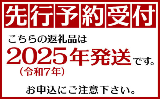 東村産完熟マンゴー　約2kg（4～6玉）2025年発送 甘い 芳醇 完熟 マンゴー トロピカル 農家直送 夏 デザート フルーツ アーウィン あまい おいしい ジューシー 南国 高級 まんごー 沖縄 国産マンゴー 沖縄県 東村