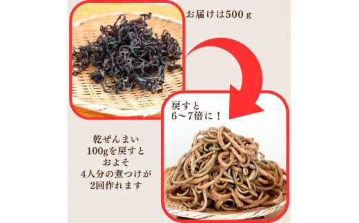 天然乾ぜんまい天日干し手もみ仕上げ500g（太）[H5-7602]