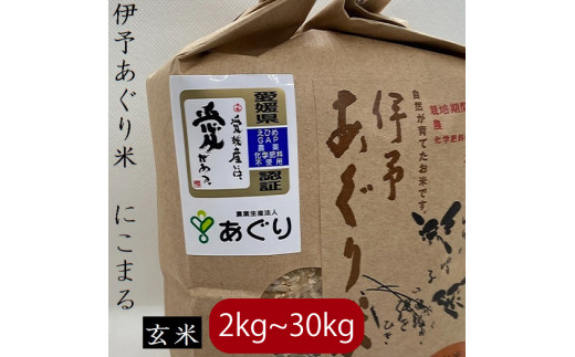 【新米】【予約販売】【選べるキロ数】【2024年10月中旬～下旬頃発送】米 玄米 5kg 伊予あぐり米「にこまる」 令和6年産 米 農薬・化学肥料不使用 米 玄米 令和6年産 米 お米 こめ 農薬・化学肥料不使用 こだわりのお米 愛媛県 松前町 松前 まさき 愛媛 えひめ おこめ 有限会社あぐり 愛媛県産米 松前町産米 美味しいお米   お米 贈答 贈り物 愛媛県 松前町 有限会社あぐり