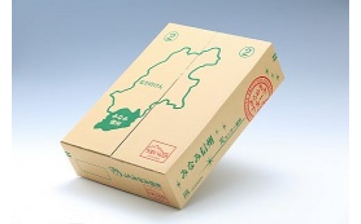 爽やかな風味！【南信州産】シナノゴールド 約5kg 10～18玉