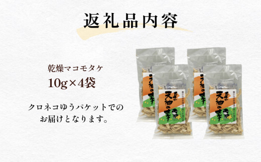 乾燥マコモタケ 10g×4袋 富山県 氷見市 まこもタケ 野菜 乾燥 保存