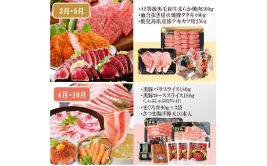 定期便6回配送 ＜当店限定＞ごちそうまんきつセット FF-6004_ 定期便 牛肉 かつお まぐろ 鮪 肉 ステーキ ロース 切り落とし たたき 焼肉 カジキ 鰹 黒豚 さつま揚げ 【1492208】