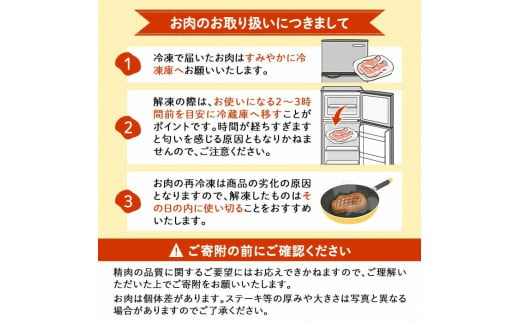 鹿児島県産黒豚ヒレ(2分割ブロック) 3本＜計1.1kg以上＞ a8-069