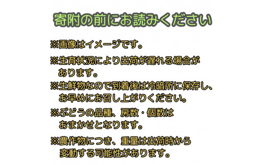 【南信州高森産】旬のぶどう・梨セット　約2kg