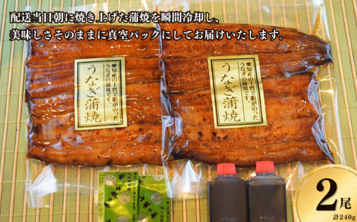 鰻 国産 鰻蒲焼 約120g×2パック たれ 山椒付