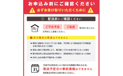 洋梨 「追熟 ラ・フランス」 3kg（8～11玉） 山形産 令和6年産 2024年産【2024年10月末頃～2025年1月頃発送予定】　012-B-MM025