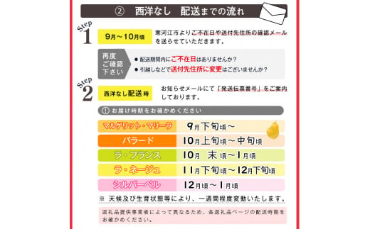 洋梨 「追熟 ラ・フランス」 3kg（8～11玉） 山形産 令和6年産 2024年産【2024年10月末頃～2025年1月頃発送予定】　012-B-MM025