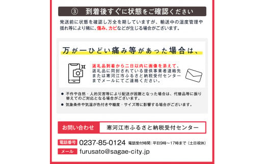 洋梨 「追熟 ラ・フランス」 3kg（8～11玉） 山形産 令和6年産 2024年産【2024年10月末頃～2025年1月頃発送予定】　012-B-MM025