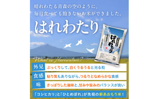 乾式 無洗米 10kg 特a米 はれわたり 令和6年産米 ( 精米 ) 特a 青森県産 米 乾式無洗米 ハレワタリ お米 こめ 10キロ ギフト ごはん 五所川原 はれわたり