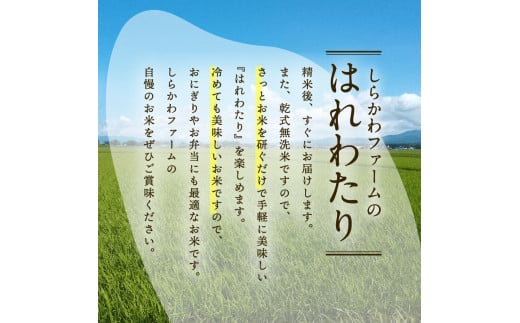 乾式 無洗米 10kg 特a米 はれわたり 令和6年産米 ( 精米 ) 特a 青森県産 米 乾式無洗米 ハレワタリ お米 こめ 10キロ ギフト ごはん 五所川原 はれわたり