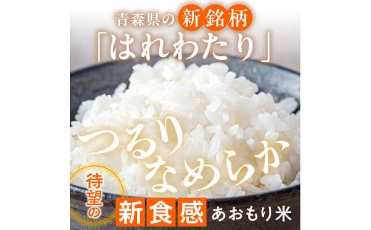 乾式 無洗米 10kg 特a米 はれわたり 令和6年産米 ( 精米 ) 特a 青森県産 米 乾式無洗米 ハレワタリ お米 こめ 10キロ ギフト ごはん 五所川原 はれわたり