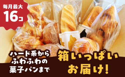 【12回定期便】 Petit Lapin 箱いっぱいのおまかせパンセット M 食パン　菓子パン　惣菜パン　愛西市/Petit Lapin [AEBI006]