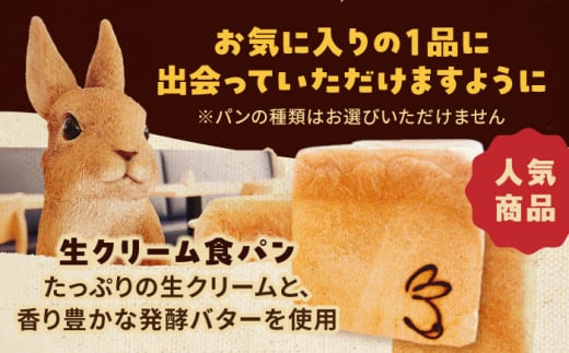 【12回定期便】 Petit Lapin 箱いっぱいのおまかせパンセット M 食パン　菓子パン　惣菜パン　愛西市/Petit Lapin [AEBI006]