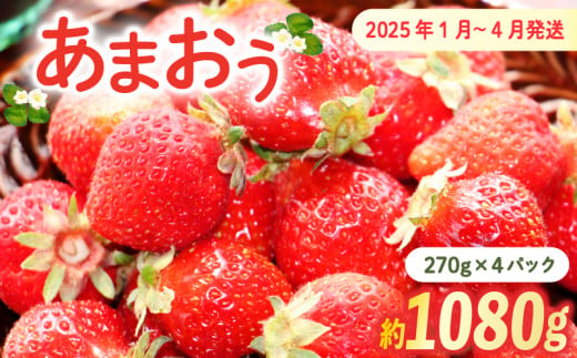 【2025年1月-4月下旬発送予定】『訳あり』いちごの王様！ あまおう小粒もりもり(4パック)