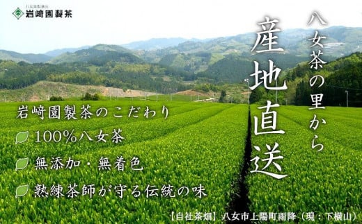 八女茶100％ 家庭用業務用（抹茶入り）玄米茶 100g×10袋  お手頃品！＜岩崎園製茶＞