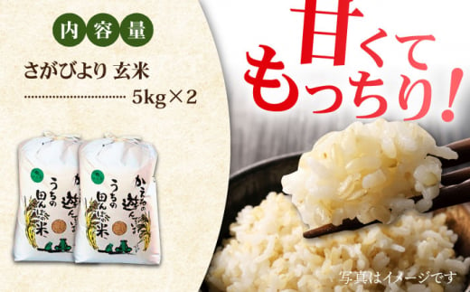 【先行予約】令和6年産 新米 さがびより 玄米 10kg ( 5kg×2袋 ) 【ひなたむらのお米】 [HAC003]