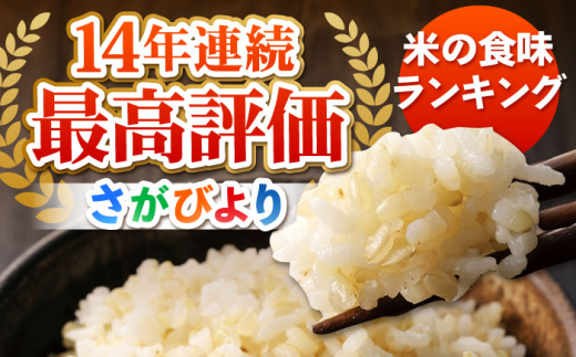 【先行予約】令和6年産 新米 さがびより 玄米 10kg ( 5kg×2袋 ) 【ひなたむらのお米】 [HAC003]