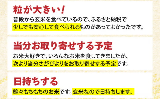 【先行予約】令和6年産 新米 さがびより 玄米 10kg ( 5kg×2袋 ) 【ひなたむらのお米】 [HAC003]