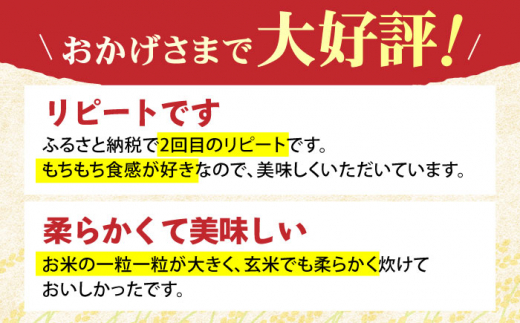 【先行予約】令和6年産 新米 さがびより 玄米 10kg ( 5kg×2袋 ) 【ひなたむらのお米】 [HAC003]