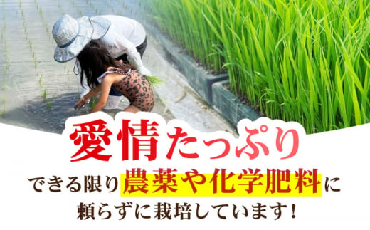 【先行予約】令和6年産 新米 さがびより 玄米 10kg ( 5kg×2袋 ) 【ひなたむらのお米】 [HAC003]