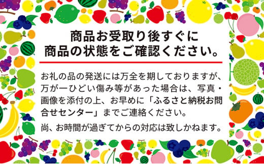 先行受付 大塚農園 さくらんぼ【 南陽 】800g（200g×4）サクランボ フルーツ