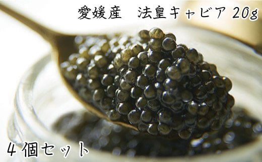 キャビア  20g CAVIAR caviar 4個 セット チョウザメ ベステル 魚卵 桐箱入り 高級 冷凍 限定 ギフト ふるさと納税 送料無料 【四国中央市 紙のまち 日本一】