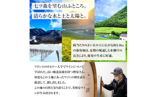 自社葡萄を使用したワイン 750ml×2本 赤ワイン 白ワイン 飲み比べ アルコール 数量限定 ギフト ワインセット 宮城県産 みらいファームやまと【了美ワイナリー】ta202