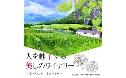 自社葡萄を使用したワイン 750ml×2本 赤ワイン 白ワイン 飲み比べ アルコール 数量限定 ギフト ワインセット 宮城県産 みらいファームやまと【了美ワイナリー】ta202