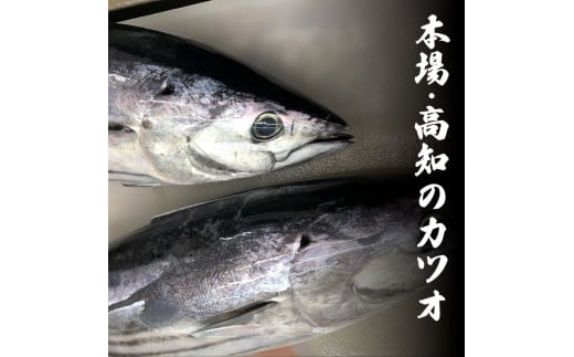 ～四国一小さなまち～ 訳ありタタキ 1.5kg 6ヶ月定期便 カツオ かつお 鰹 鰹のたたき たれ・おろし生姜・柚塩付き 刺身 さしみ 惣菜 おかず 海鮮 魚介類 お取り寄せ ご自宅用 ご家庭用