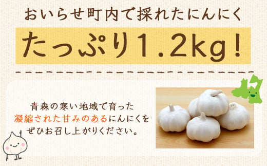 青森県 おいらせ町産 にんにく たっぷり 1.2㎏ ふるさと納税 人気 おすすめ ランキング おいらせ町産 にんにく たっぷり 1.2kg ニンニク 乾燥 甘い 凝縮 青森県 おいらせ町 送料無料 OIH101