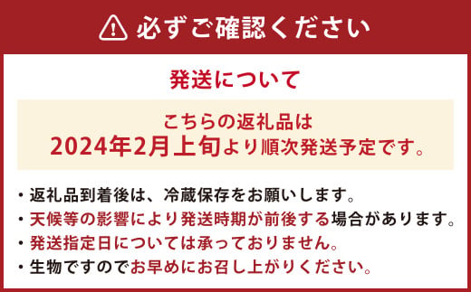 百花園 恋みのり 合計約1.4kg 約350g×4パック いちご 苺 果物 フルーツ