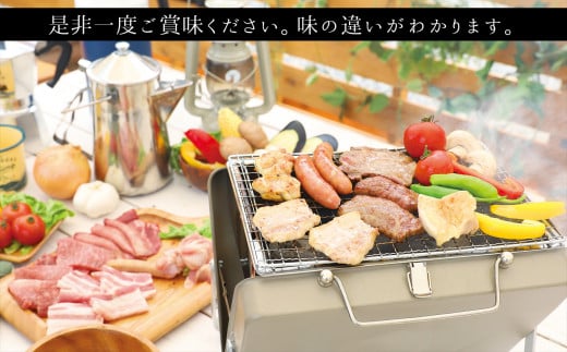 火の本豚 加工品詰め合わせ（930g） | 熊本県 熊本 くまもと 和水町 なごみ 豚肉 肉 地域ブランド フランクフルト ボロニアソーセージ ソーセージ チョリソー ウインナー 加工品 詰め合わせ セット 冷凍