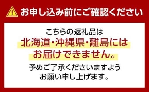 ◆先行受付◆　2025年発送　岡山県産　新高梨 TY0-0047