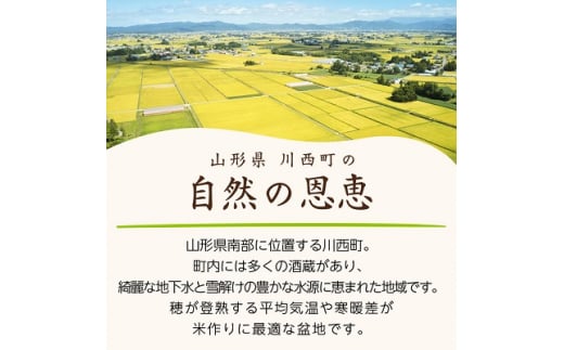 令和6年産　山形県産　つや姫　10kg(5kg×2袋)【1120492】