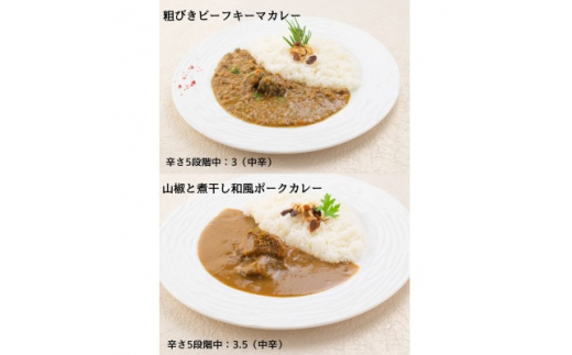 数量限定!エピスクラブのスパイス料理第四弾 レトルトカレー4種セット【1453876】