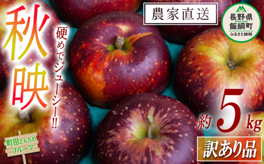 りんご 秋映 訳あり 5kg 沖縄県への配送不可 2024年9月下旬頃から2024年10月中旬頃まで順次発送予定 町田さんちのりんご 長野県 飯綱町 [1150]