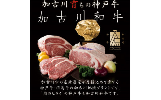 ★選べる配送月★[10月発送]神戸牛肩ロースすき焼き肉・しゃぶしゃぶ肉(700g)《  自社牧場直送 神戸牛 肉のヒライ 肩ロース すき焼き しゃぶしゃぶ 700グラム プレゼント ギフト 送料無料 おすすめ 》【2404A00122-10】