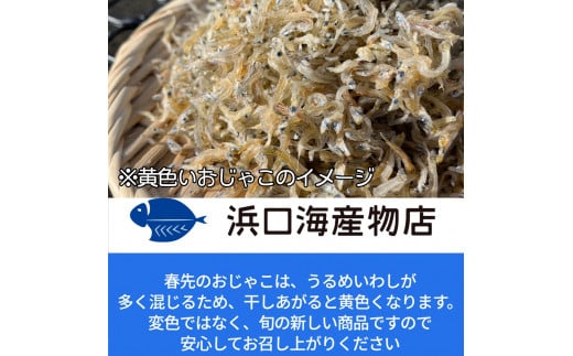 浜口海産物店のかちりじゃこ（60ｇ× 4袋）小分けセット シラス 釜揚げ しらす丼 ちりめん丼 高知県 土佐清水市 送料無料 しらす シラス 釜揚げしらす かちりじゃこ カチリジャコ 【R00016】