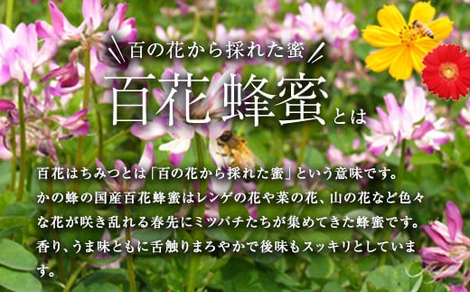 国産 純粋はちみつ 然の極み 1kg（500g×2本）セット（とんがり容器）