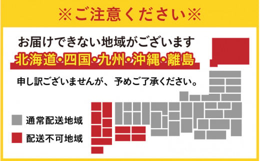 【先行予約】越前おおの　毎川金花堂　でっち羊かん小サイズ（500g）×1箱＋プチサイズでっち羊かん（100g）×1つ【11月～順次発送】