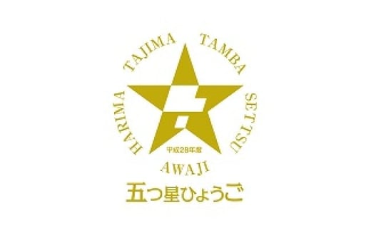 地下足袋　倭紋－わもん－地下足袋　阪神タイガース公認　タイガース・ロゴ（27.0cm）　地下足袋シューズ　足袋型スニーカー　倭紋地下足袋　わもん地下足袋種類　地下足袋日本製　和柄地下足袋　地下足袋刺子　地下足袋おしゃれ　地下足袋職人技　五つ星ひょうご選定商品