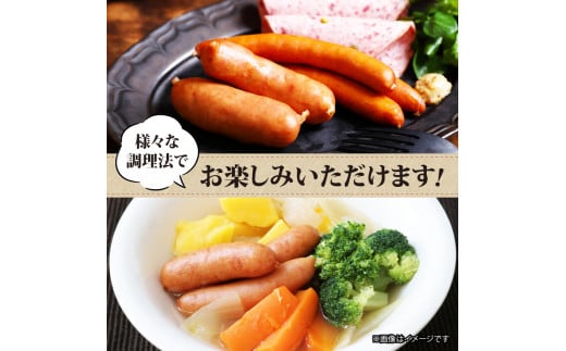 【480g】  国産 豚肉 パクパクソーセージ (120g×4)  無塩せき 添加物 不使用 冷凍 真空パック 小分け 豚 ぶた 豚肉 ポーク 肉 挽き肉 ひきにく ミンチ ウィンナー  ソーセージ 阿波美豚 ブランド 人気 おすすめ ギフト 贈答 焼肉 ハム ベーコン BBQ おつまみ おかず 弁当 惣菜 ビール ワイン ハイボール 日本酒 スープ 送料無料 徳島県 阿波市 リーベフラウ