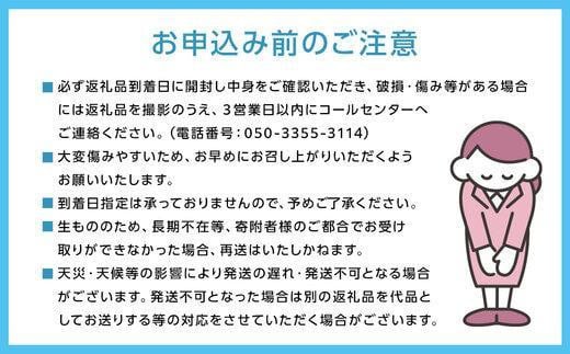 ぶどう 2025年 先行予約 9月・10月発送 シャイン マスカット 晴王 1房 約600g×2回 ブドウ 葡萄  岡山県産 国産 フルーツ 果物 ギフト