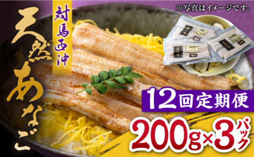 【全12回定期便】対馬産 西沖あなご 200g×3パック《対馬市》【保家商事】 あなご 穴子 アナゴ 海鮮 海産物 魚介 [WAA027]