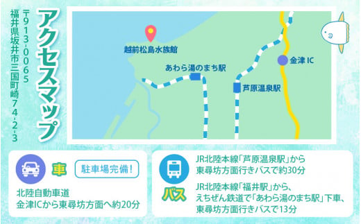 【越前松島水族館】 特別年間パスポート「オクトパス」【水族館 入場券 チケット 券 観光 旅行 年間パスポート 年パス 利用券 入館券 体験 夏休み アウトドア】 [J-11101]