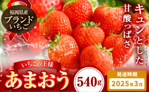 いちご あまおう 先行予約 いちご 大量 540g 選べる発送時期 定期便 フルーツ《2025年3月発送》苺 旬 くだもの 果物 福岡県 鞍手町