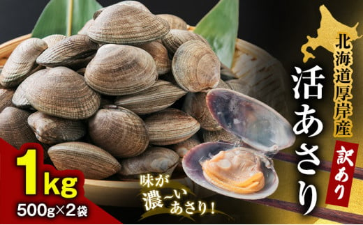 北海道 厚岸産 訳あり 活あさり 500g×2 (合計1kg) アサリ[№5863-1099]