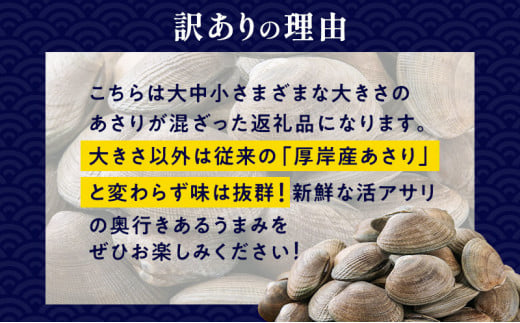 北海道 厚岸産 訳あり 活あさり 500g×2 (合計1kg) アサリ[№5863-1099]