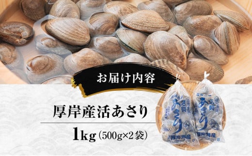 北海道 厚岸産 訳あり 活あさり 500g×2 (合計1kg) アサリ[№5863-1099]